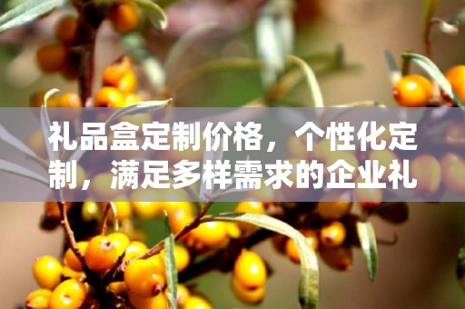 礼品盒定制价格，个性化定制，满足多样需求的企业礼品选择